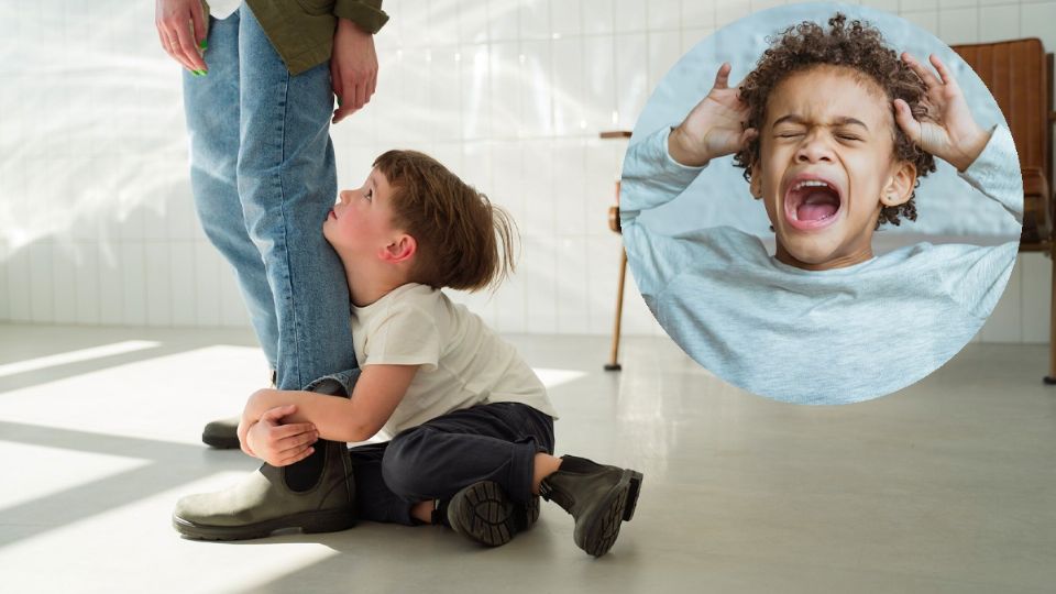 Los pequeños no saben cómo regular sus emociones durante los primeros años de vida