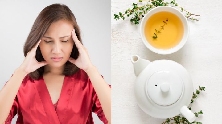 ¿Cuál es el mejor té para el dolor de cabeza? 3 bebidas que te ayudarán