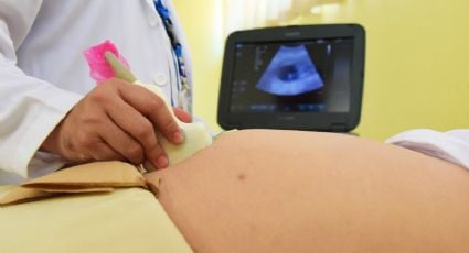 ¿Cuándo se empiezan a notar los primeros síntomas del embarazo?