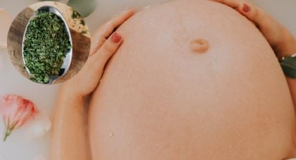 ¿Qué pasa si tomo té de orégano y estoy embarazada?
