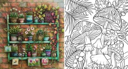 5 fotos de plantas para imprimir y colorear si tienes ansiedad