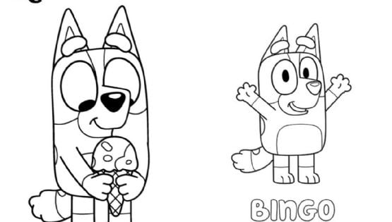 Dibujos de Bingo para imprimir y colorear: ¿qué raza de perro es el personaje de Bluey?